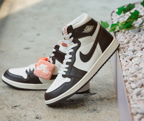 Nike Air Jordan 1 Retro High OG Light Madder Root FD2596-200 Women's Fashion Sne