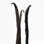 Calvin Klein Euphoria Eau de Toilette – Women's Ambery Perfume – With Notes of Pink Pepper, Radiant Orchid & Vanilla Accord – Long Lasting Fragrance