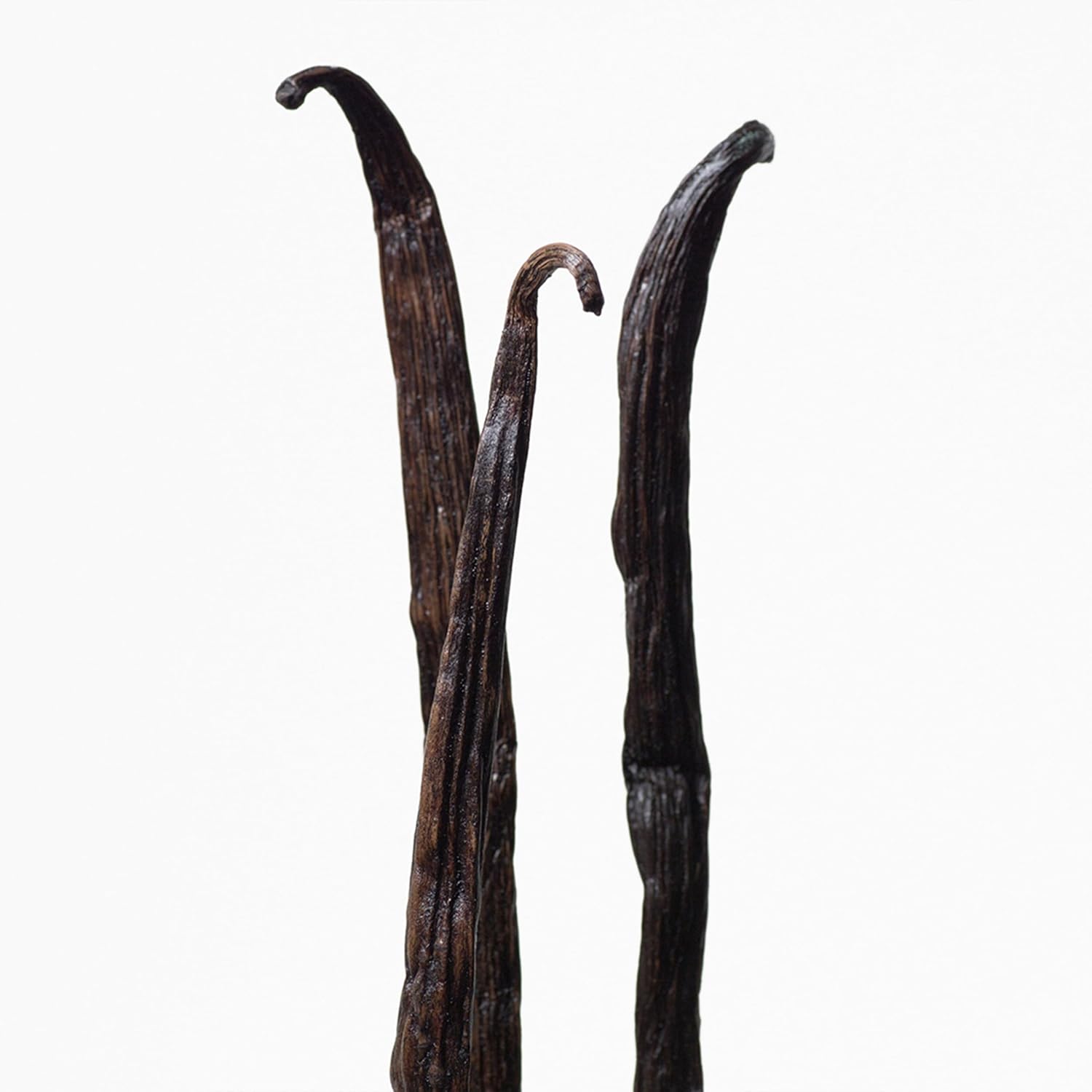 Calvin Klein Euphoria Eau de Toilette – Women's Ambery Perfume – With Notes of Pink Pepper, Radiant Orchid & Vanilla Accord – Long Lasting Fragrance