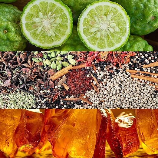 Calvin Klein Obsession Eau de Parfum – Ambery Women's Perfume – With Notes of Mandarin, Bergamot, Jasmine & Patchouli – Long Lasting Fragrance