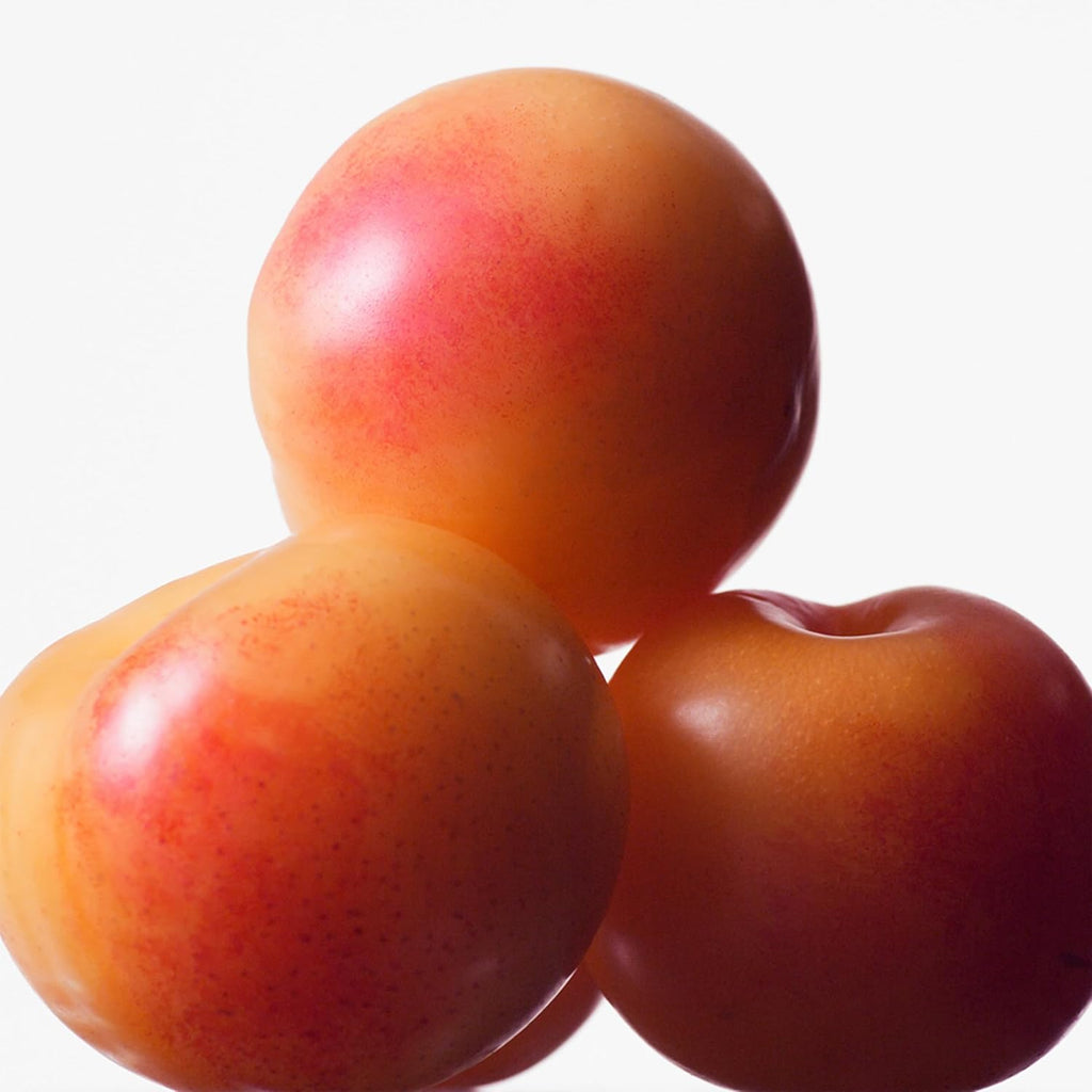 Calvin Klein Euphoria Eau de Toilette – Women's Ambery Perfume – With Notes of Pink Pepper, Radiant Orchid & Vanilla Accord – Long Lasting Fragrance